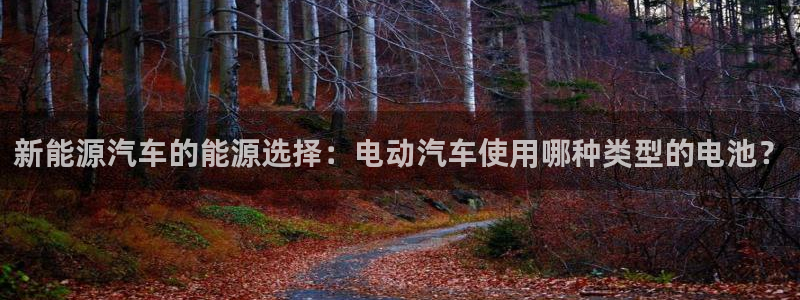 优发国际官网下载安装手机版：新能源汽车的能源选择：电动汽车使用哪种类型的电池？