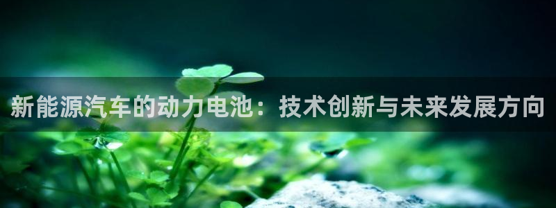 优发国际app官网下载安装手机版：新能源汽车的动力电池：技术创新与未来发展方向