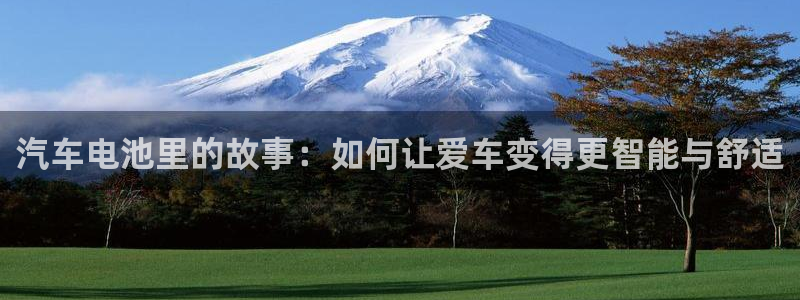优发国际是大平台吗知乎：汽车电池里的故事：如何让爱车变得更智能与舒适