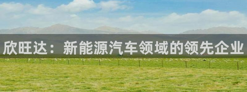 优发国际手机客户端下载安卓：欣旺达：新能源汽车领域的领先企业