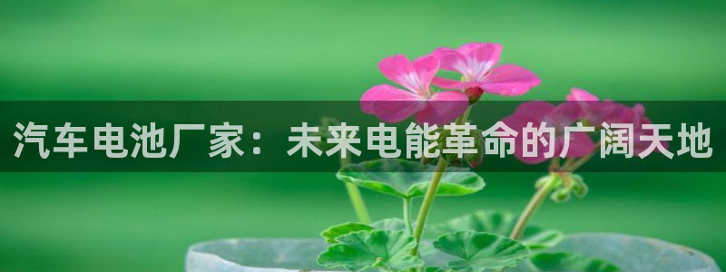 优发国际官网官方网址：汽车电池厂家：未来电能革命的广阔天地