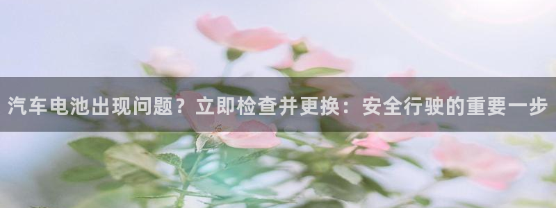 优发国际客服联系方式：汽车电池出现问题？立即检查并更换：安全行驶的重要一步