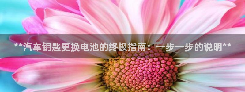 优发国际的官网是什么软件：**汽车钥匙更换电池的终极指南：一步一步的说明**